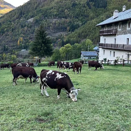 Maison Marcoz - Vacanze Etroubles