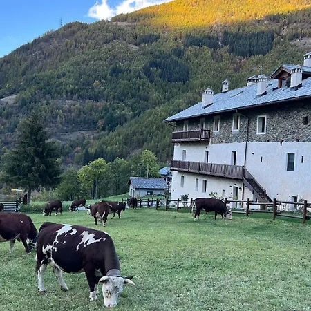 Lägenhet Maison Marcoz - Vacanze Etroubles